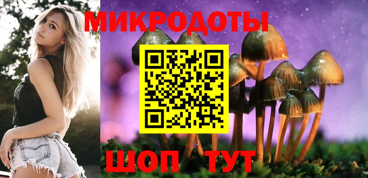 Псилоцибиновые грибы Magic Shrooms Керчь