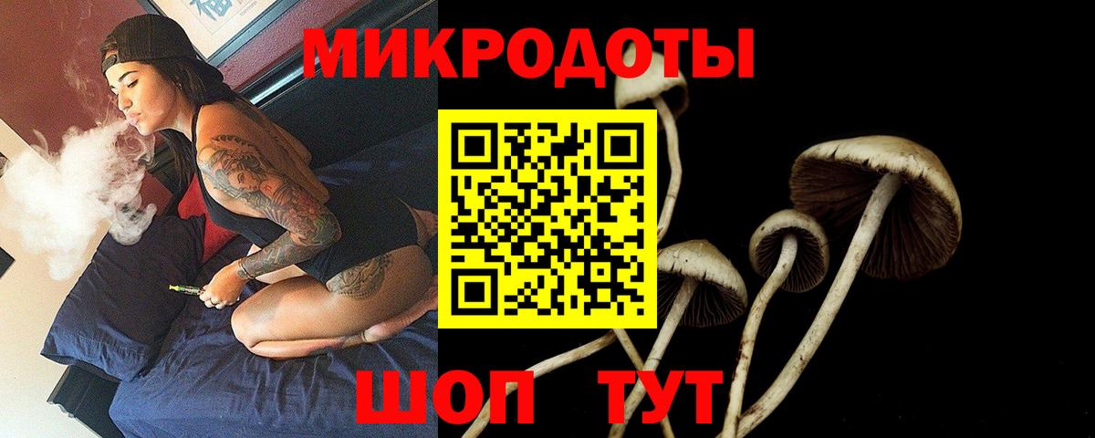 Керчь  закладки  Вход с VPN  Псилоцибиновые грибы GOLDEN TEACHER 